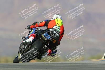 media/Jan-13-2024-SoCal Trackdays (Sat) [[9c032fe5aa]]/Turn 9 Backside (110pm)/